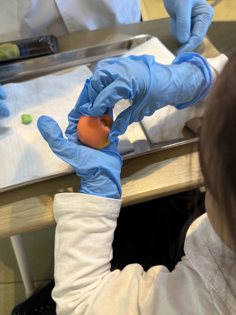 和菓子作り体験、川越、品川区【アシママ】