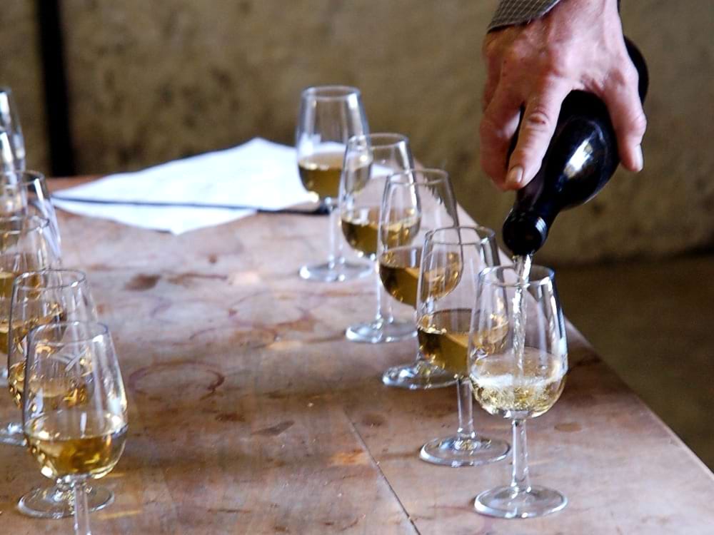 八王子　白ワインの試飲　【ふらかつ】
