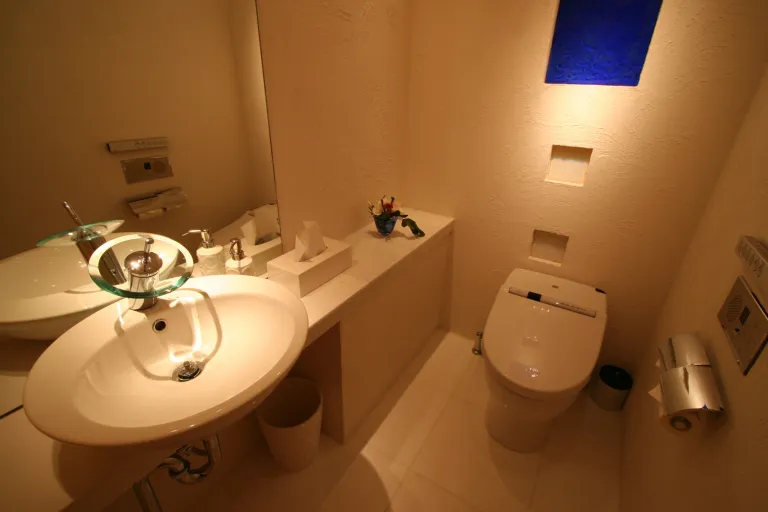 トイレ　リフォーム　DIY　【たてコデ】【しゅさぽ】