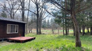 カフェスロードッグラン