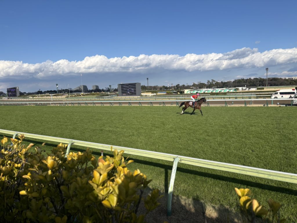 埼玉　パソコンと生前整理アドバイザーでさぽーと「ぱせさぽ」