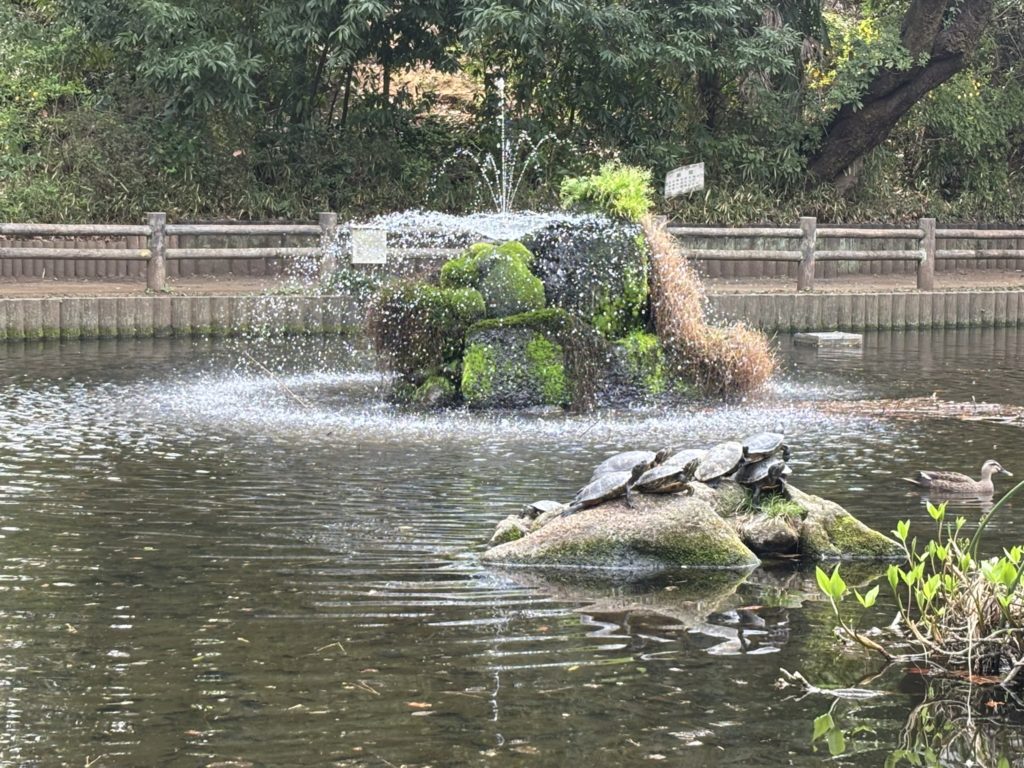 埼玉　パソコンと生前整理アドバイザーでサポート「ぱせさぽ」