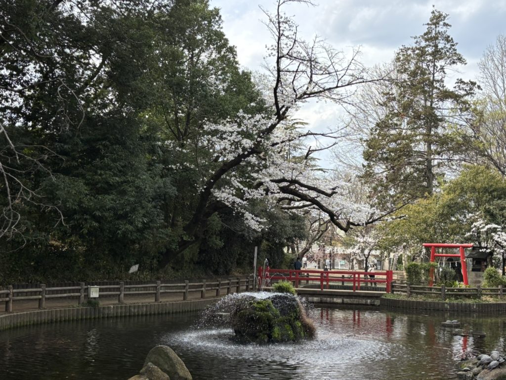 埼玉　パソコンと生前整理アドバイザーでサポート「ぱせさぽ」