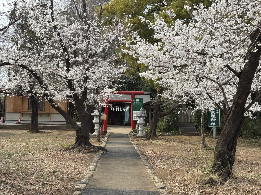 埼玉　パソコンと生前整理アドバイザーでサポート「ぱせさぽ」
