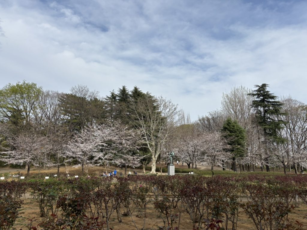 埼玉　パソコンと生前整理アドバイザーでサポート「ぱせさぽ」