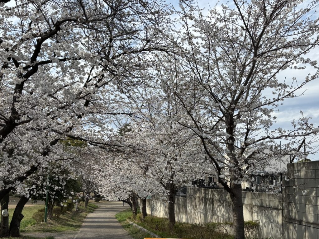 埼玉　パソコンと生前整理アドバイザーでサポート「ぱせさぽ」