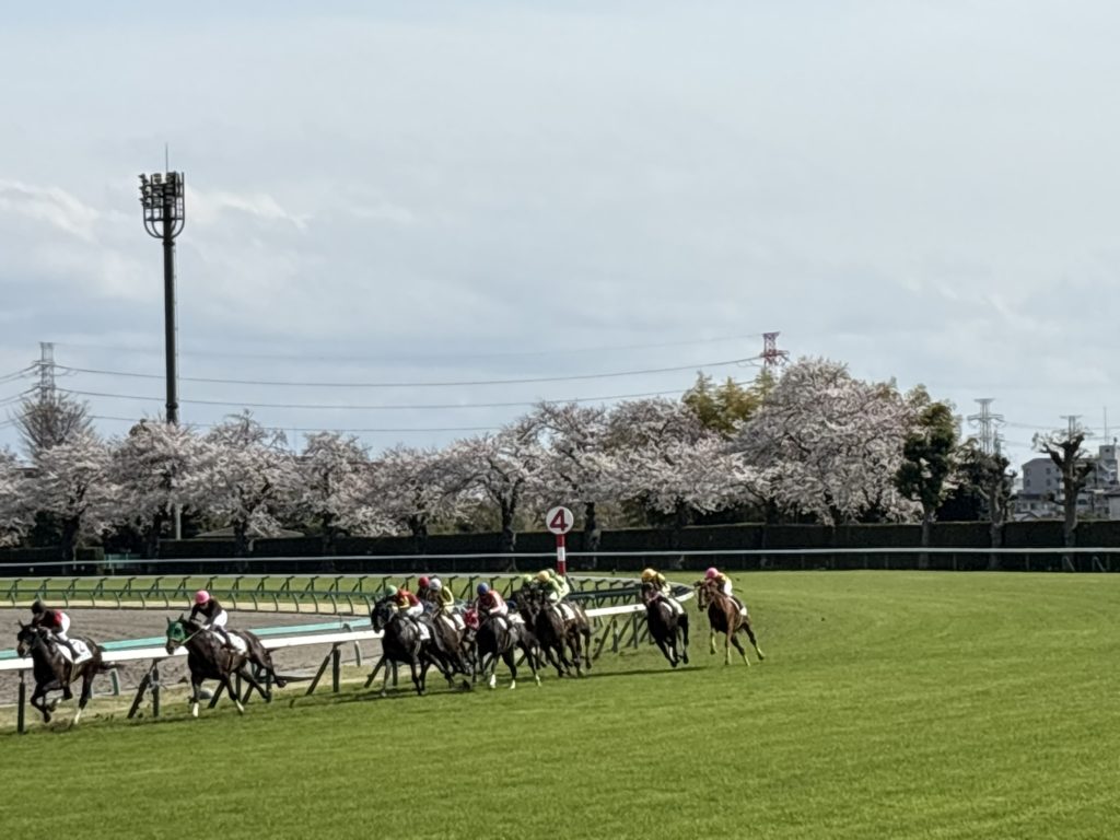 埼玉　パソコンと生前整理アドバイザーでサポート「ぱそさぽ」