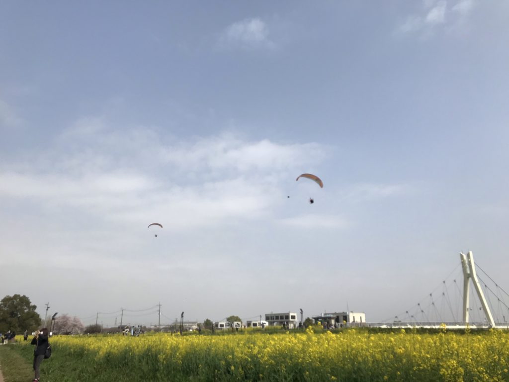 埼玉　パソコンと生前整理アドバイザーでサポート「ぱせさぽ」