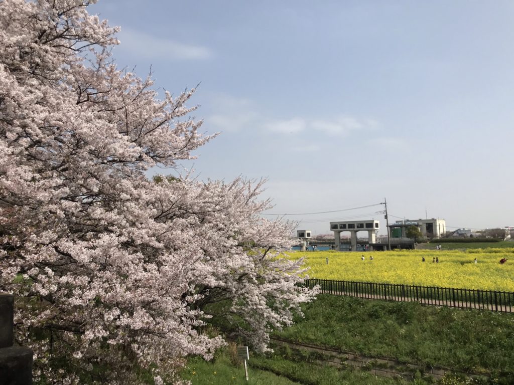 埼玉　パソコンと生前整理アドバイザーでサポート「ぱせさぽ」