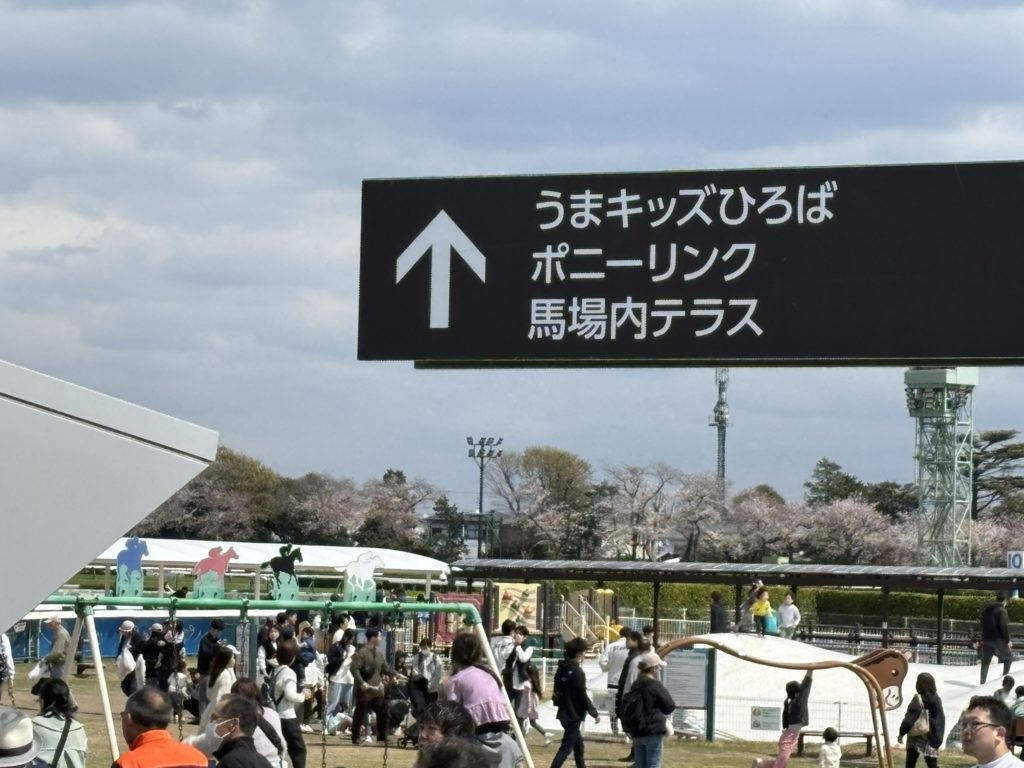埼玉　パソコンと生前整理アドバイザーでサポート「ぱそさぽ」