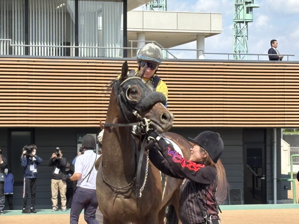 埼玉　パソコンと生前整理アドバイザーでサポート「ぱそさぽ」