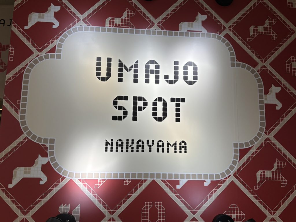 埼玉　パソコンと生前整理アドバイザーでサポート「ぱそさぽ」