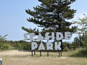 ネモフィラと空と海とが織り成す青のハーモニー「ぱせさぽ」